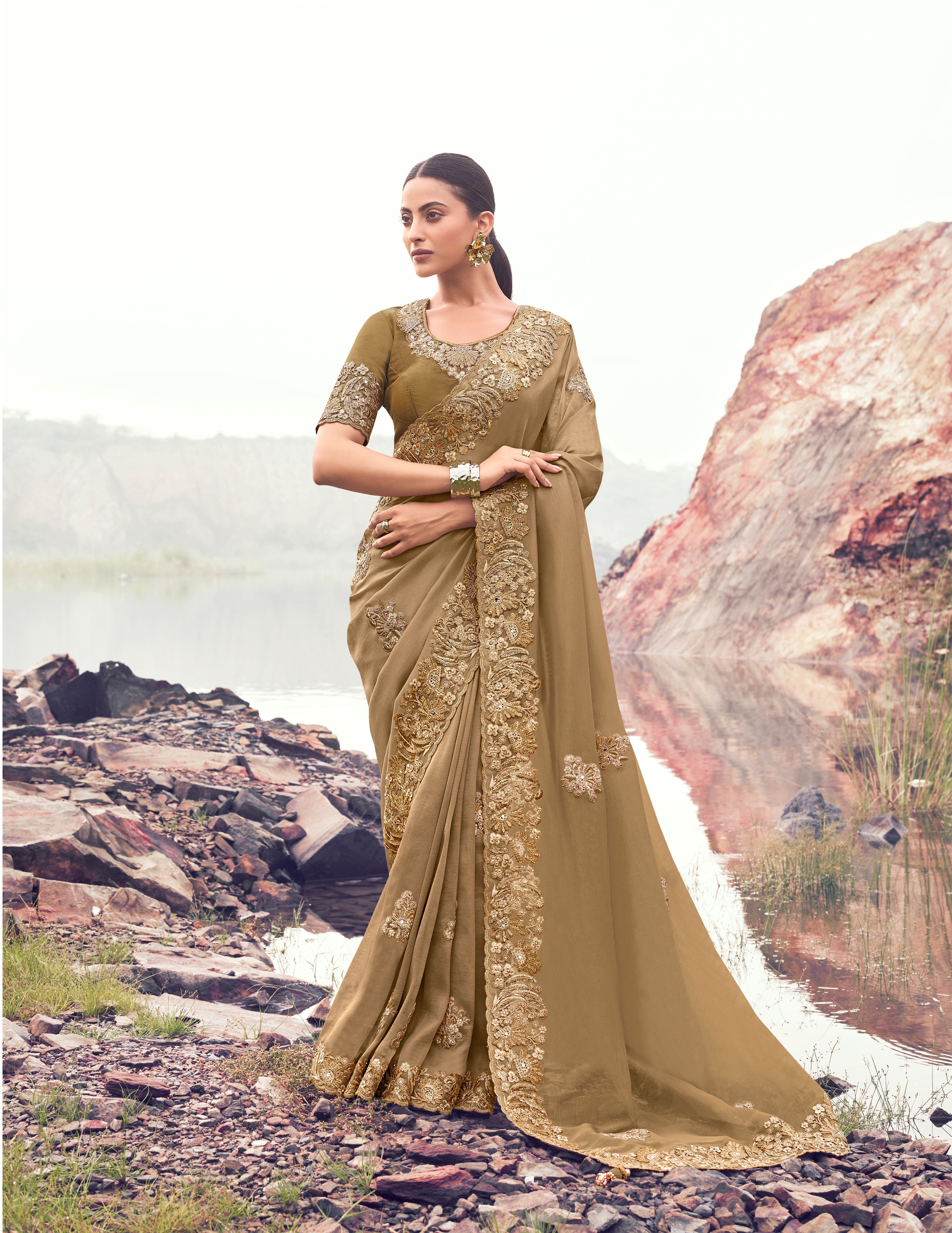 Chiku Pure Banarasi Silk Embroidered Saree