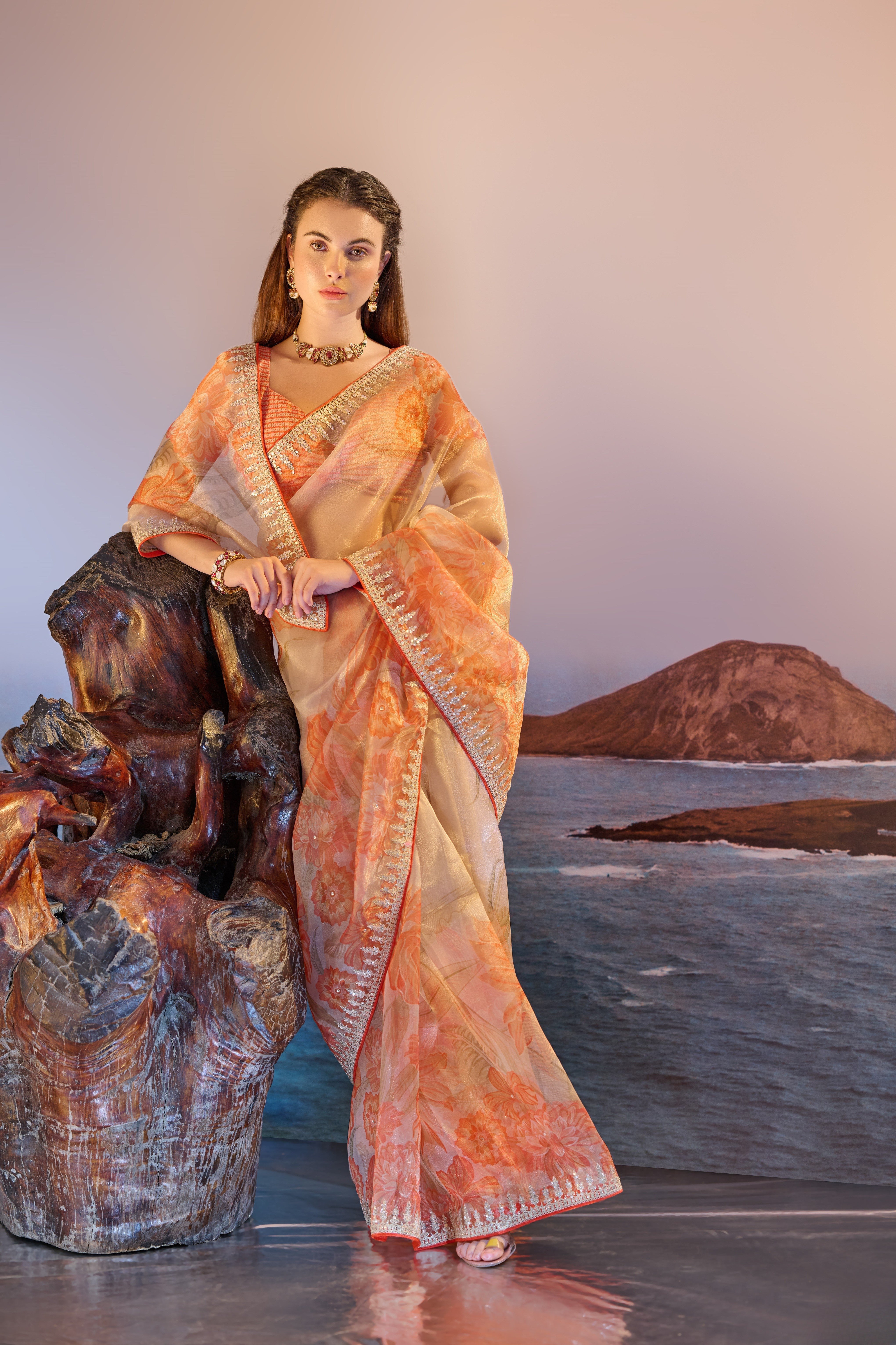Orange Organza Digital Print Embroidered Saree