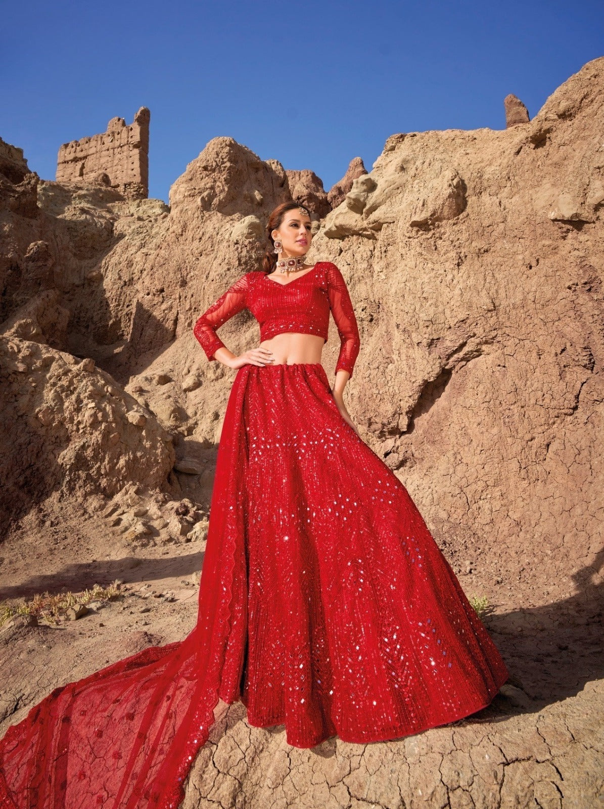 Red Pure Net Cut Work Lehanga