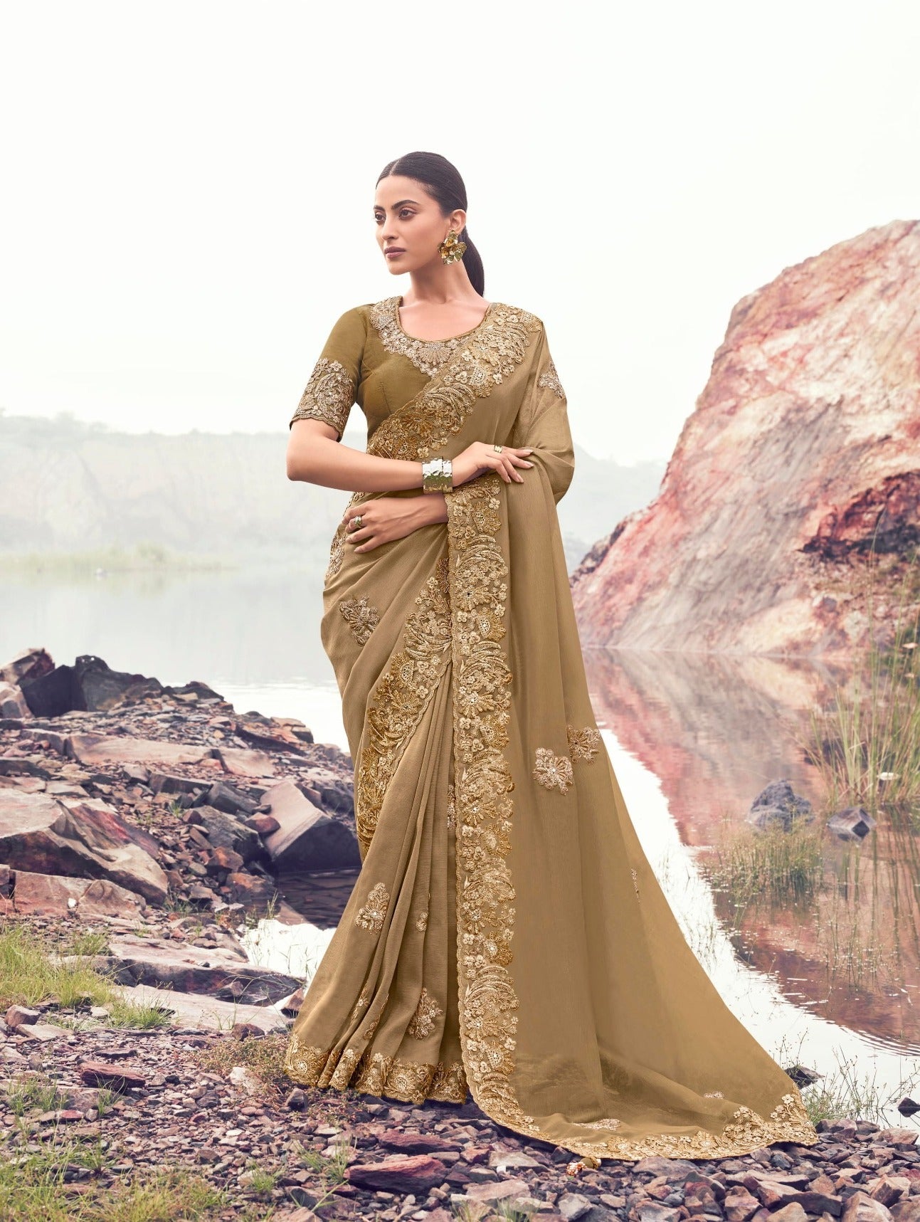 Chiku Pure Banarasi Silk Embroidered Saree