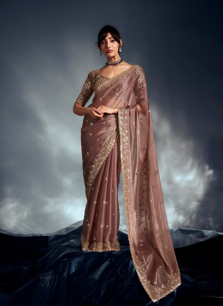 Dusty Brown Tissue Organza Embroidered Saree