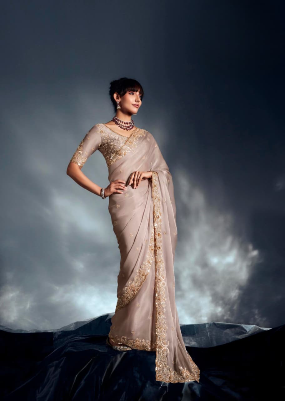 Beige Nude Tissue Organza Embroidered Saree