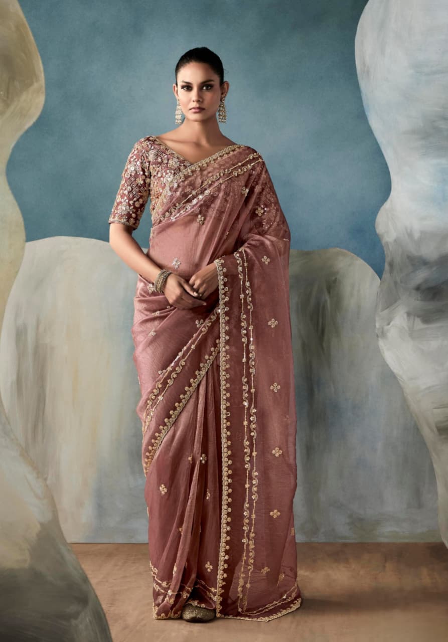 Brown Tissue Handwork Designer Saree