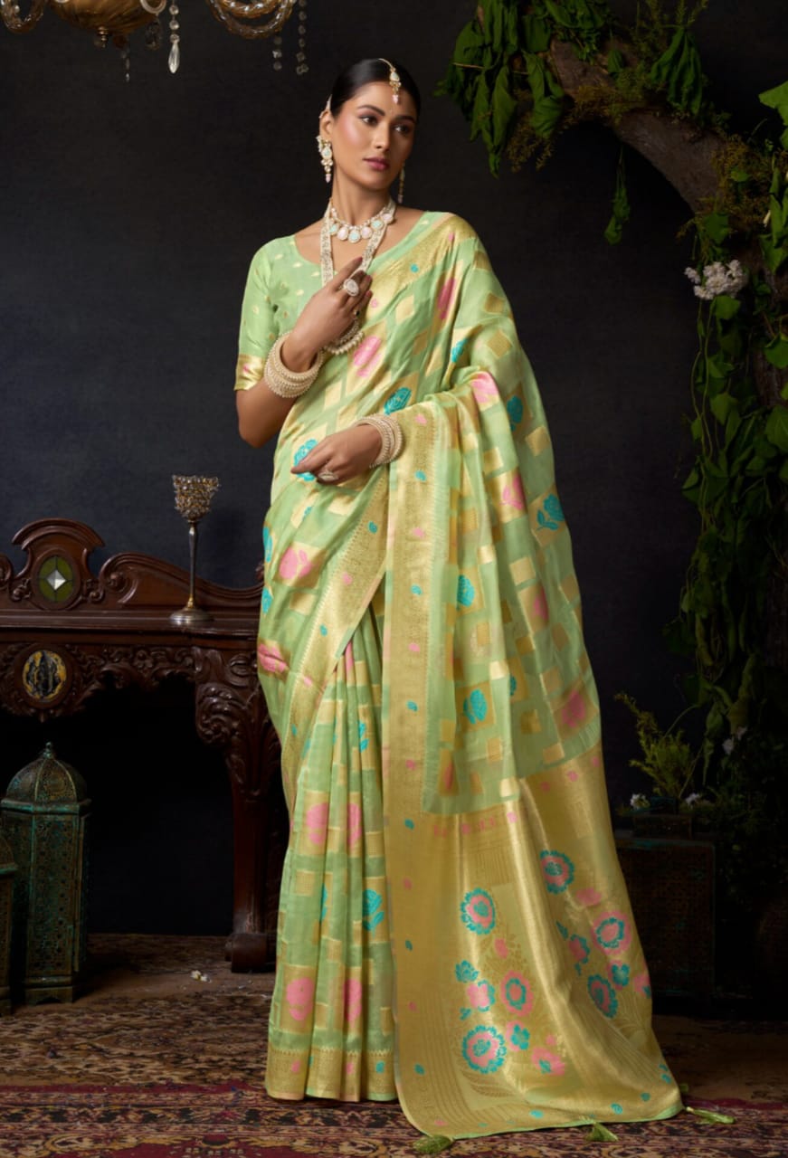 Light Green Organza Khadi Zari Work Saree